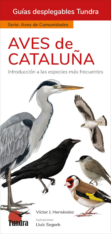 AVES DE CATALUÑA. INTRODUCCIÓN A LAS ESPECIES MÁS FRECUENTES. GUÍAS DESPLEGABLES TUNDRA