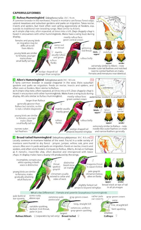 FIELD GUIDE TO THE BIRDS OF NORTH AMERICA 4