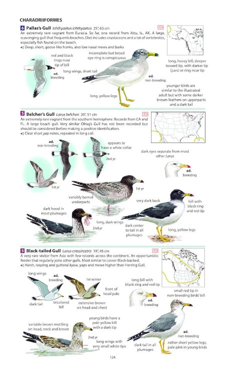 FIELD GUIDE TO THE BIRDS OF NORTH AMERICA 5