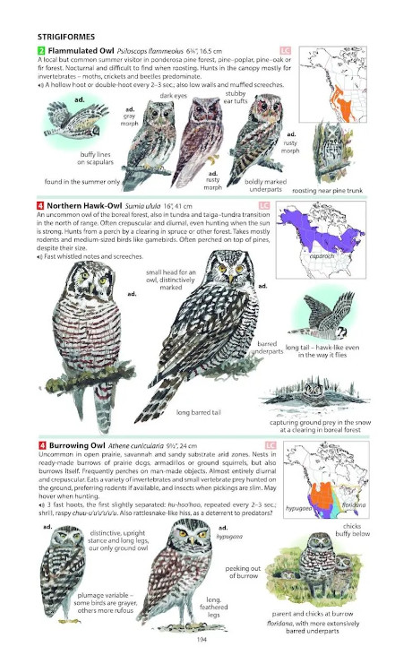 FIELD GUIDE TO THE BIRDS OF NORTH AMERICA 7