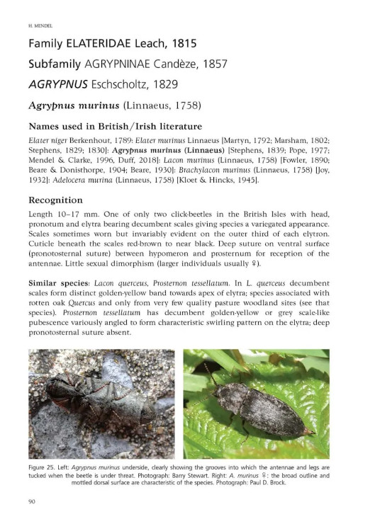 CLICK-BEETLES OF GREAT BRITAIN AND IRELAND. AN ATLAS AND NATURAL HISTORY 2