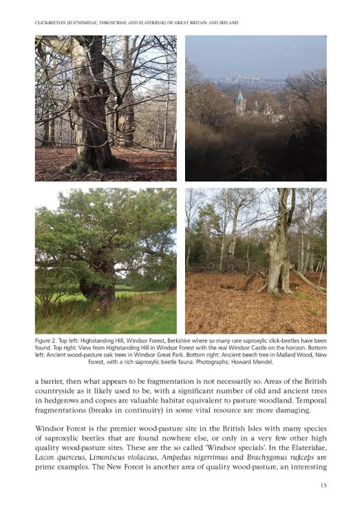 CLICK-BEETLES OF GREAT BRITAIN AND IRELAND. AN ATLAS AND NATURAL HISTORY 4