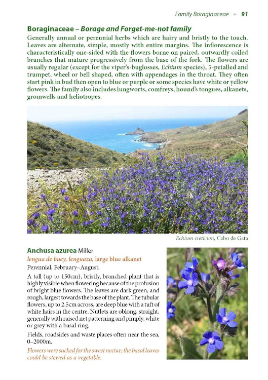 WILD FLOWERS OF COASTAL ANDALUCÍA. A PHOTOGRAPHIC FIELD GUIDE 3