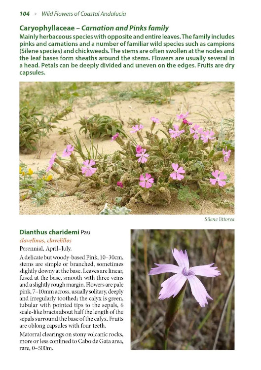 WILD FLOWERS OF COASTAL ANDALUCÍA. A PHOTOGRAPHIC FIELD GUIDE 4