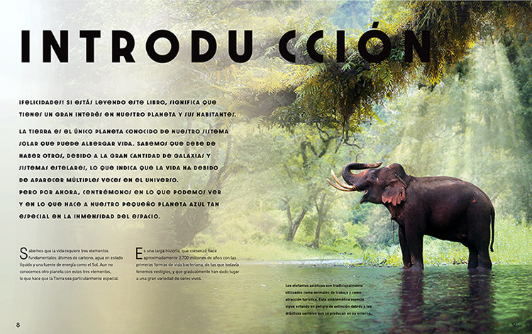 EL GRAN LIBRO DE LOS ANIMALES SALVAJES 2