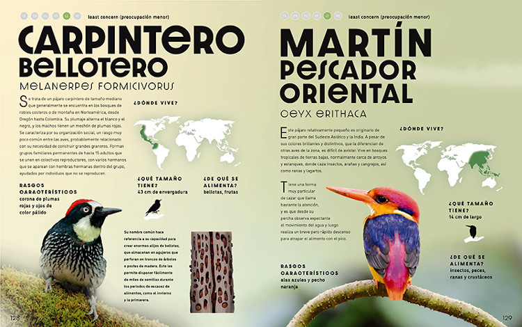 EL GRAN LIBRO DE LOS ANIMALES SALVAJES 5