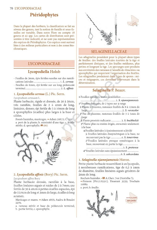 FLORE ILLUSTRÉE DU BURKINA FASO ET DU MALI (2 VOLUME SET) 2