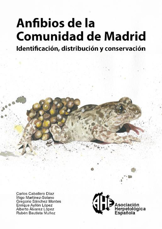 ANFIBIOS DE LA COMUNIDAD DE MADRID. IDENTIFICACION, DISTRIBUCIÓN Y CONSERVACIÓN 1