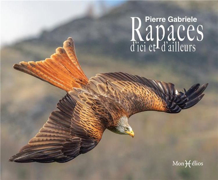 RAPACES D'ICI ET D'AILLEURS