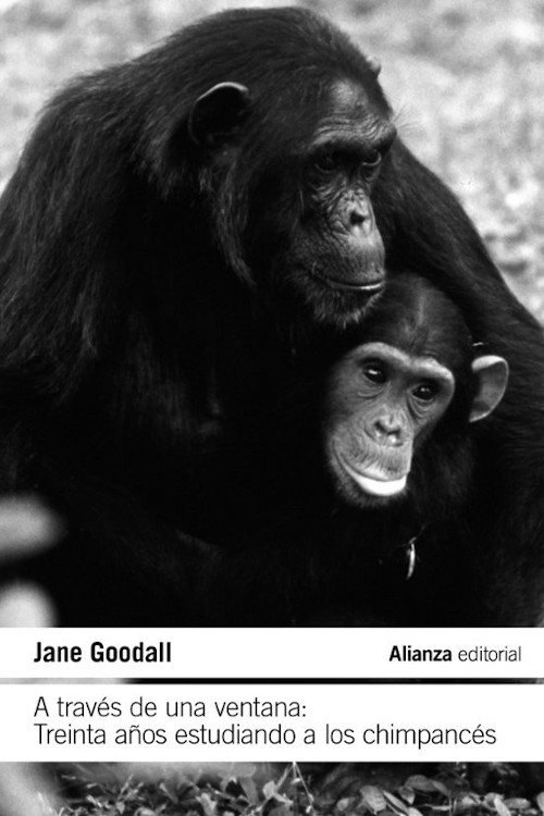 A TRAVÉS DE UNA VENTANA: TREINTA AÑOS ESTUDIANDO A LOS CHIMPANCÉS 1
