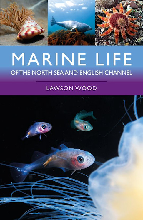 MARINE LIFE OF THE NORTH SEA AND ENGLISH CHANNEL 1