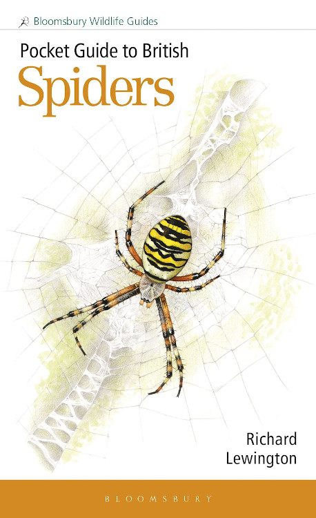 POCKET GUIDE TO BRITISH SPIDERS 1