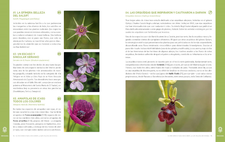UN RECORRIDO PARA DESCUBRIR LA NATURALEZA DE ESPAÑA. 365 PROPUESTAS IMPRESCINDIBLES 2