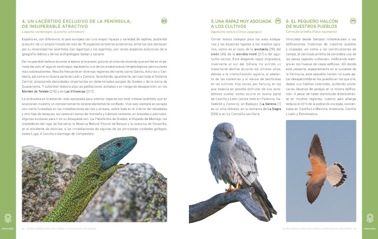 UN RECORRIDO PARA DESCUBRIR LA NATURALEZA DE ESPAÑA. 365 PROPUESTAS IMPRESCINDIBLES 3