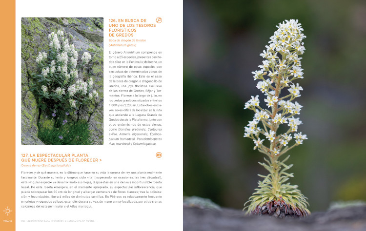 UN RECORRIDO PARA DESCUBRIR LA NATURALEZA DE ESPAÑA. 365 PROPUESTAS IMPRESCINDIBLES 4