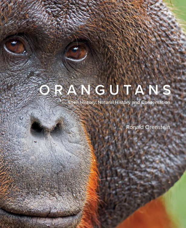 ORANGUTANS. THEIR HISTORY, NATURAL HISTORY AND CONSERVATION 1