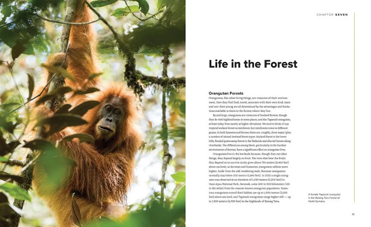 ORANGUTANS. THEIR HISTORY, NATURAL HISTORY AND CONSERVATION 2