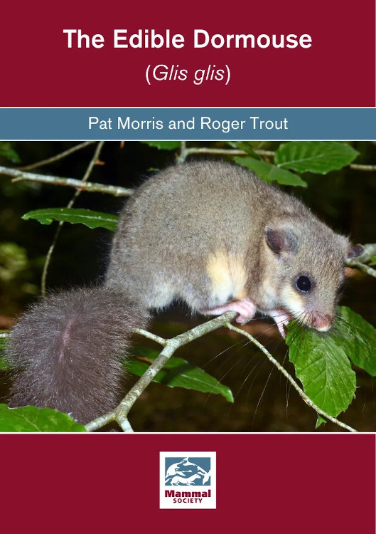 THE EDIBLE DORMOUSE (GLIS GLIS)