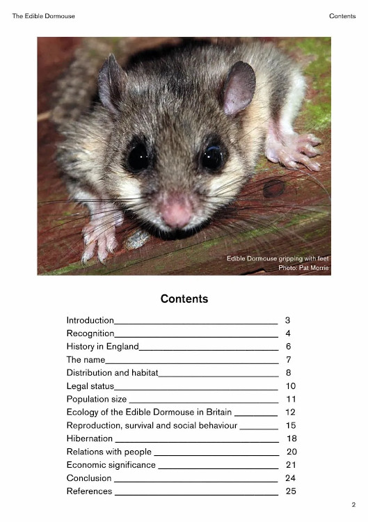 THE EDIBLE DORMOUSE (GLIS GLIS) 2