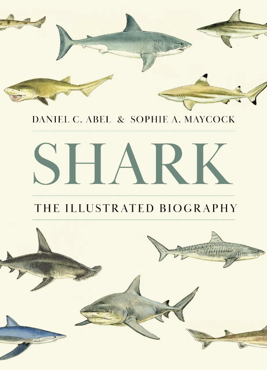 SHARK. THE ILLUSTRATED BIOGRAPHY
