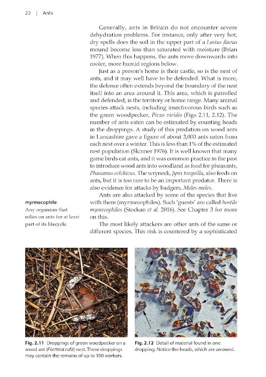 NATURALISTS' HANDBOOKS 24. ANTS 2