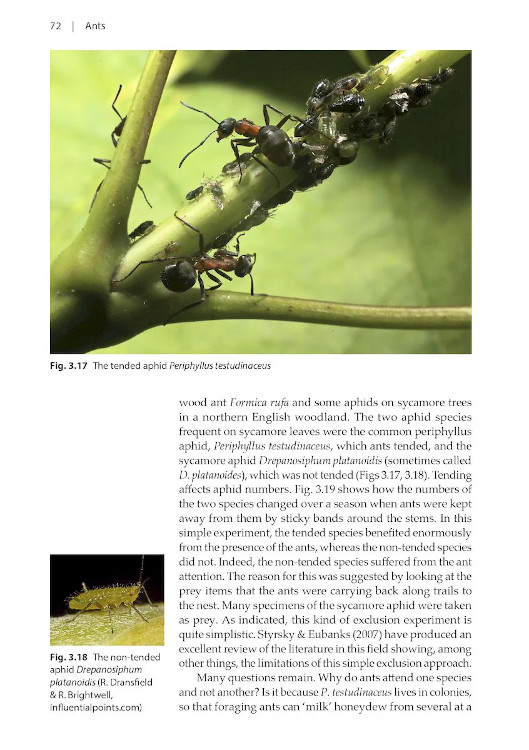 NATURALISTS' HANDBOOKS 24. ANTS 3