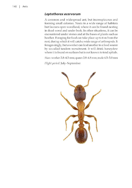 NATURALISTS' HANDBOOKS 24. ANTS 5