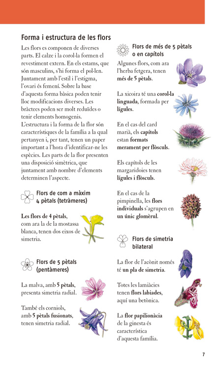 PLANTES MEDICINALS. 350 ESPÈCIES D'EUROPA 3