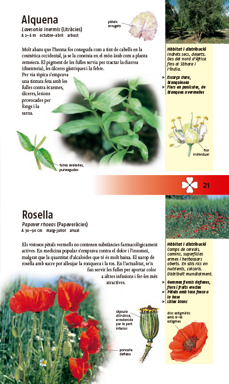 PLANTES MEDICINALS. 350 ESPÈCIES D'EUROPA 5