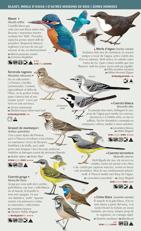 OCELLS AQUÀTICS CAMALLARGS, RAPINYAIRES I MOIXONS DE LES ZONES HUMIDES. MINIGUIA DE CAMP 2
