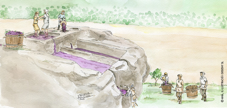 ESPAIS NATURALS PROTEGITS DELS SECANS DE LLEIDA 5