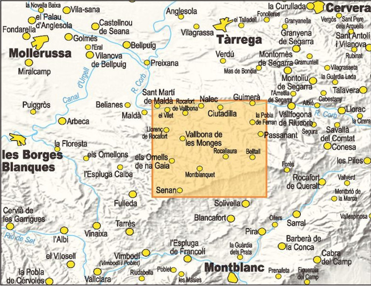 MAPA PIOLET 1:15.000. VALLBONA DE LES MONGES. RUTES PEL TERME 2