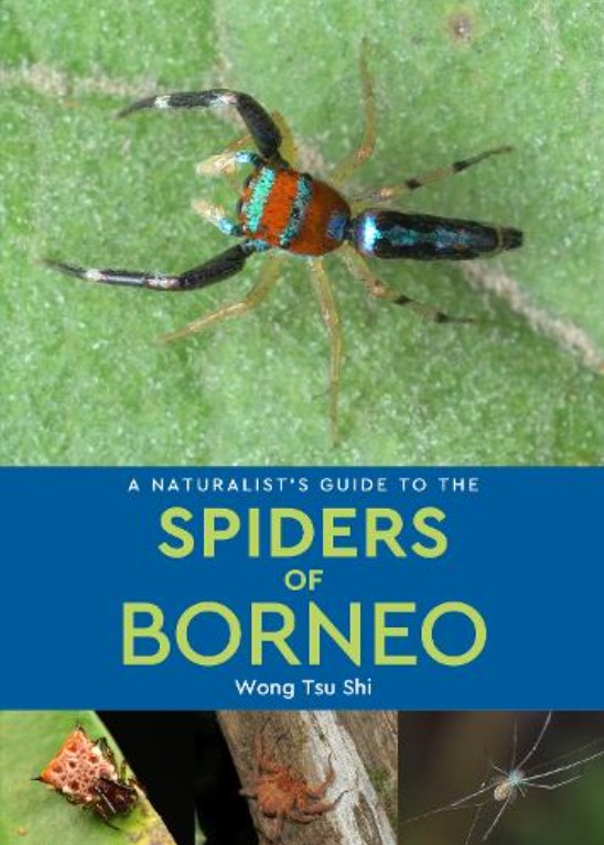 A NATURALIST'S GUIDE TO THE SPIDERS OF BORNEO