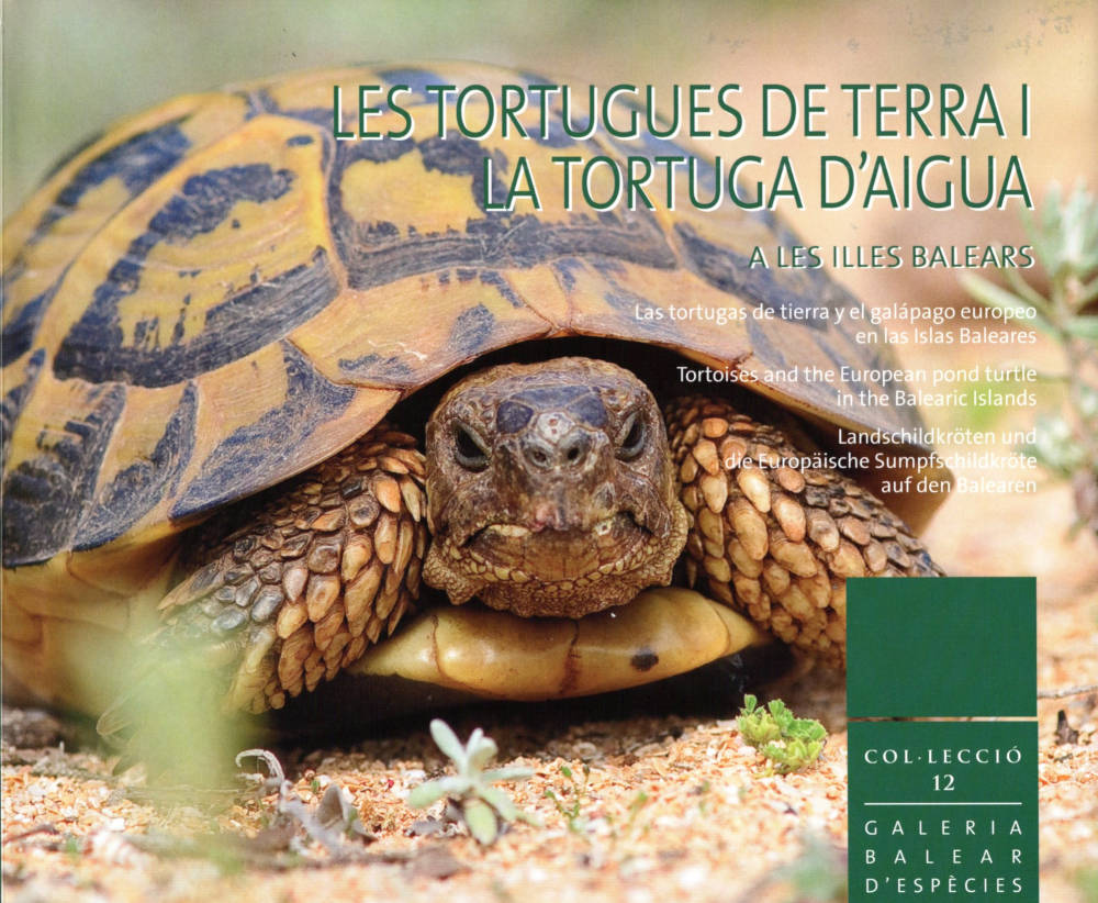 LES TORTUGUES DE TERRA I LA TORTUGA D'AIGUA A LES ILLES BALEARS