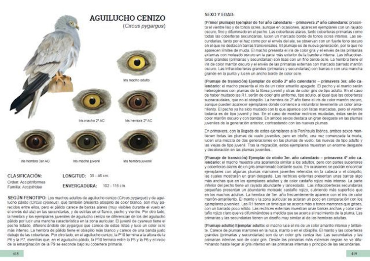 GUÍA DE IDENTIFICACIÓN DE LAS PLUMAS DE LAS RAPACES DIURNAS DE LA PENÍNSULA IBÉRICA, BALEARES Y CANARIAS 6