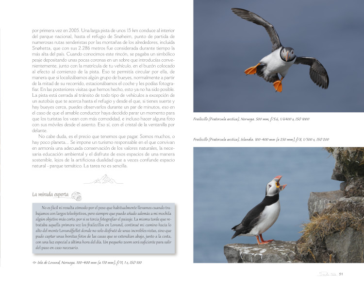 RUMBO ÁRTICO. FOTOGRAFIANDO LA NATURALEZA EN EL CÍRCULO POLAR 4