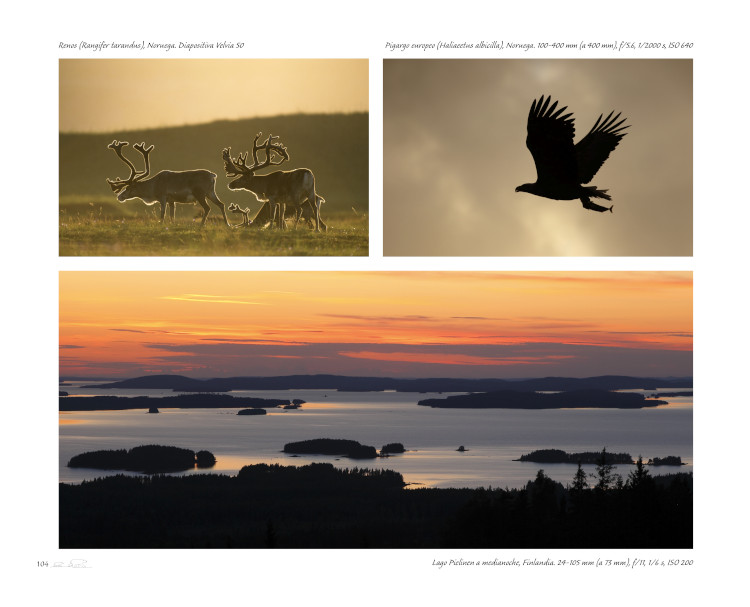 RUMBO ÁRTICO. FOTOGRAFIANDO LA NATURALEZA EN EL CÍRCULO POLAR 5