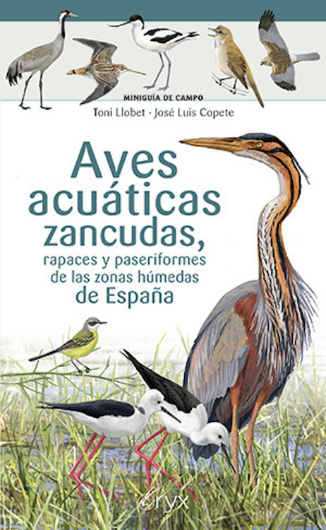 AVES ACUÁTICAS ZANCUDAS, RAPACES Y PASERIFORMES DE LAS ZONAS HÚMEDAS DE ESPAÑA. MINIGUIA DE CAMPO 1