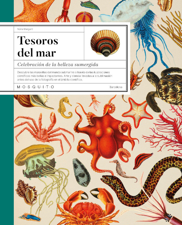 TESOROS DEL MAR. CELEBRACIÓN DE LA BELLEZA SUMERGIDA 1