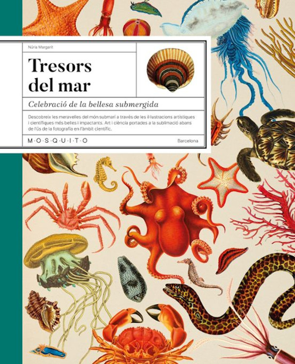TRESORS DEL MAR. CELEBRACIÓ DE LA BELLESA SUBMERGIDA 1