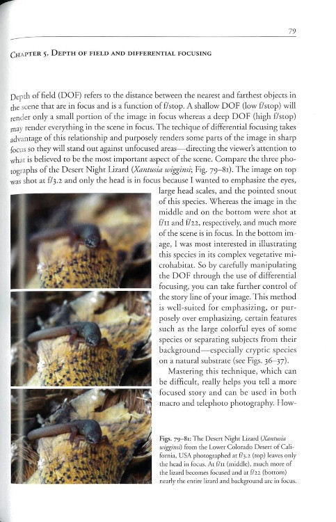 TECHNIQUES FOR PHOTOGRAPHING REPTILES AND AMPHIBIANS IN THE FIELD. HOW TO TELL BETTER STORIES 3