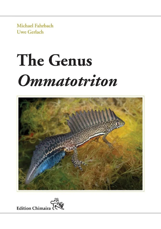 THE GENUS OMMATOTRITON
