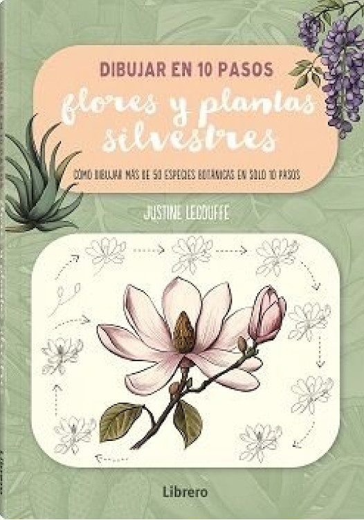 DIBUJAR EN 10 PASOS FLORES Y PLANTAS SILVESTRES