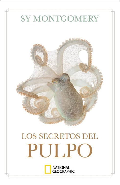 LOS SECRETOS DEL PULPO