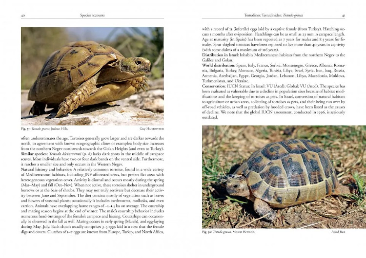 FIELD GUIDE TO THE AMPHIBIANS AND REPTILES OF ISRAEL 2