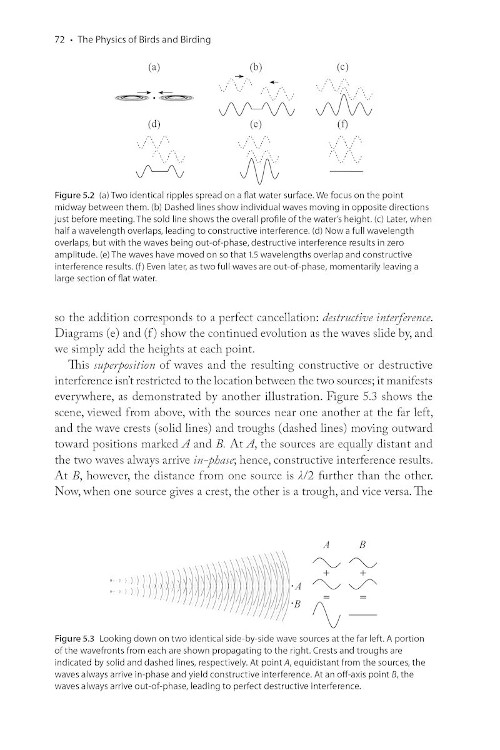 THE PHYSICS OF BIRDS AND BIRDING: THE SOUNDS, COLORS AND MOVEMENTS OF BIRDDS, AND OUR TOOLS FOR WATCHING THEM 4