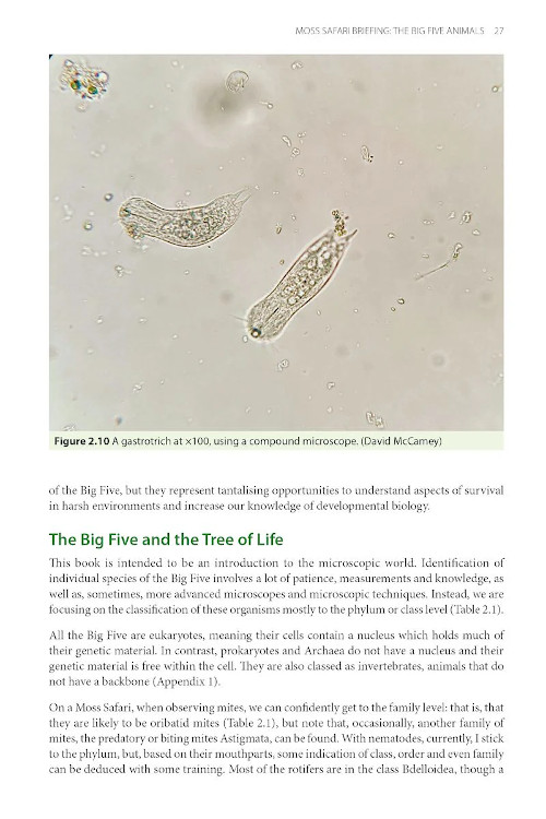 MOSS SAFARI: EXPLORING THE SECRET LIFE IN MOSS 3