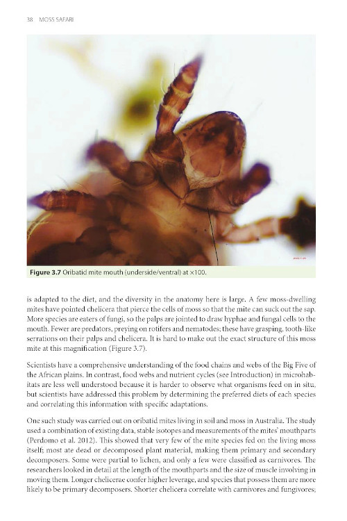 MOSS SAFARI: EXPLORING THE SECRET LIFE IN MOSS 4