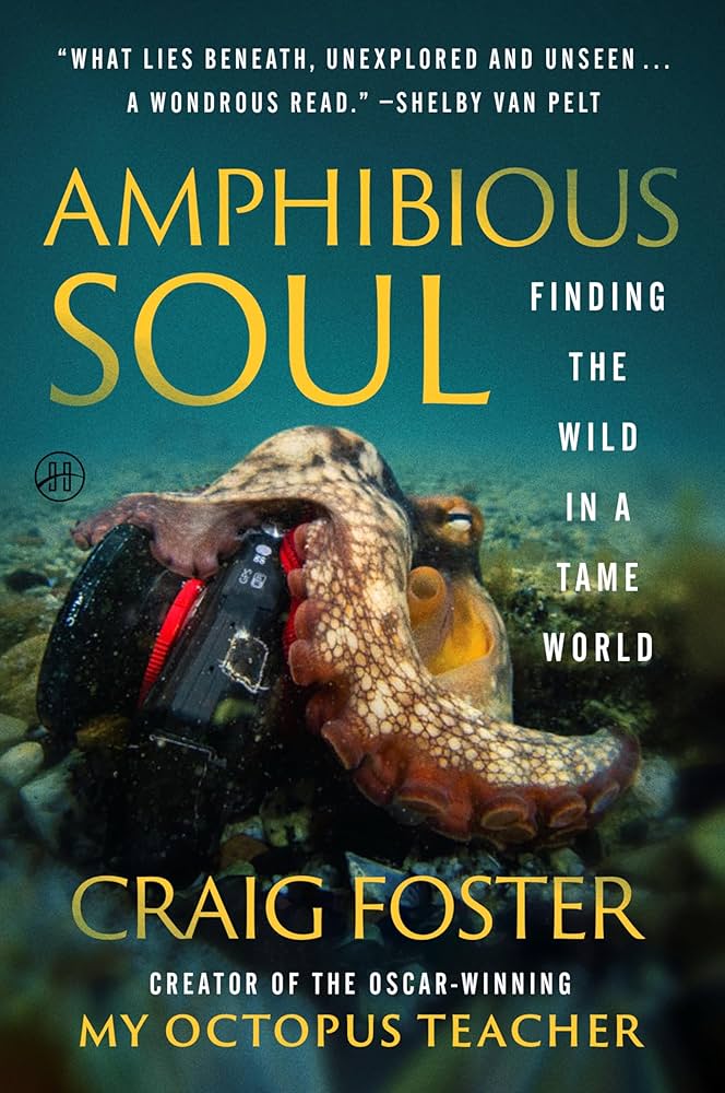 AMPHIBIOUS SOUL. FINDING THE WILD IN A TAME WORLD