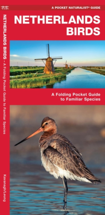 NETHERLANDS BIRDS. A FOLDING POCKET GUIDE TO FAMILIAR SPECIES